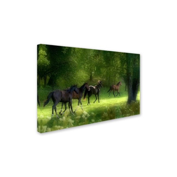 Allan Wallberg 'Running Horses' Canvas Art,16x24